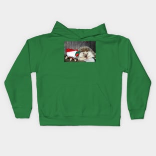 Christmas Hedgehog Kids Hoodie